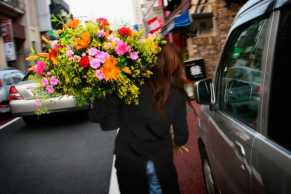 A lady with a pot filled with beautiful flowers in her hand, is walking on the street, cars can be seen near her.