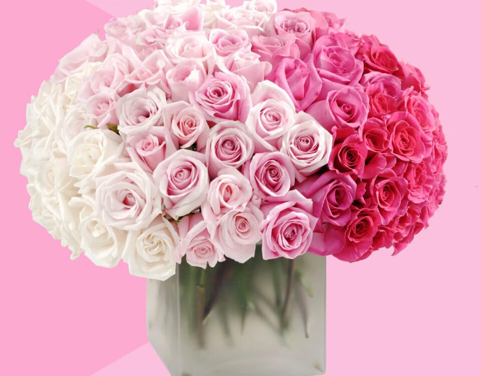 Group of rose flowers kept in a bouquet, against pink filled backdrop.